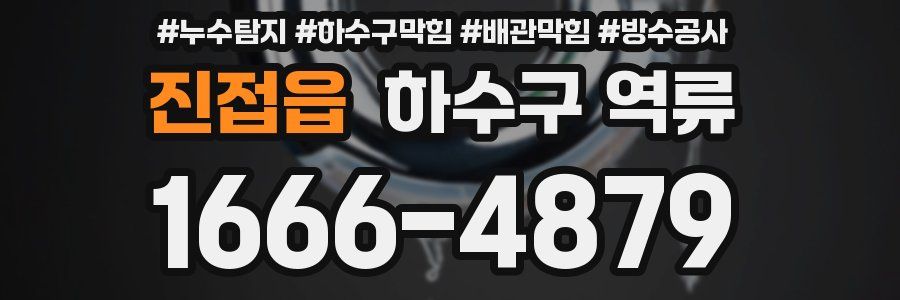 진접읍 하수구 역류