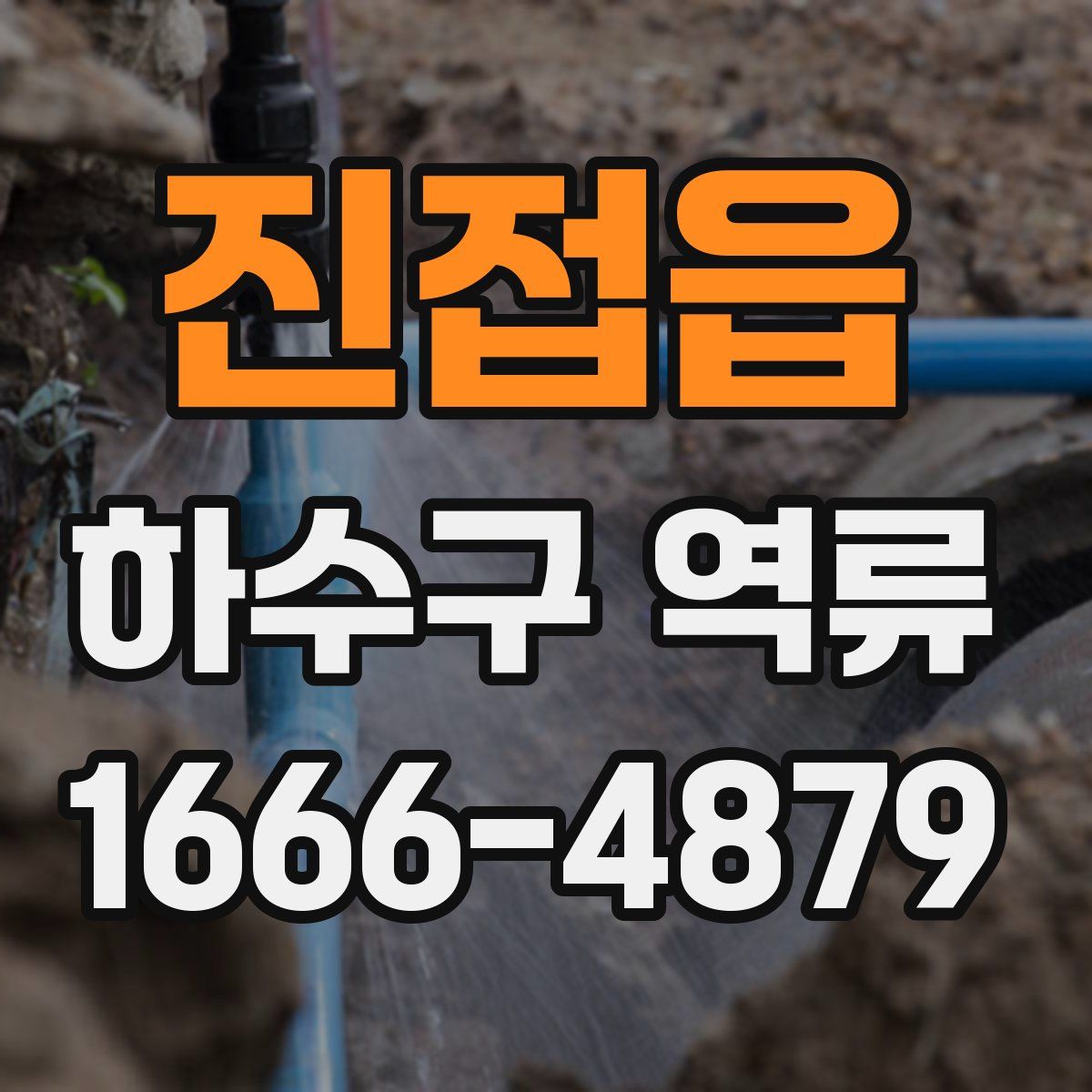 진접읍 하수구 역류