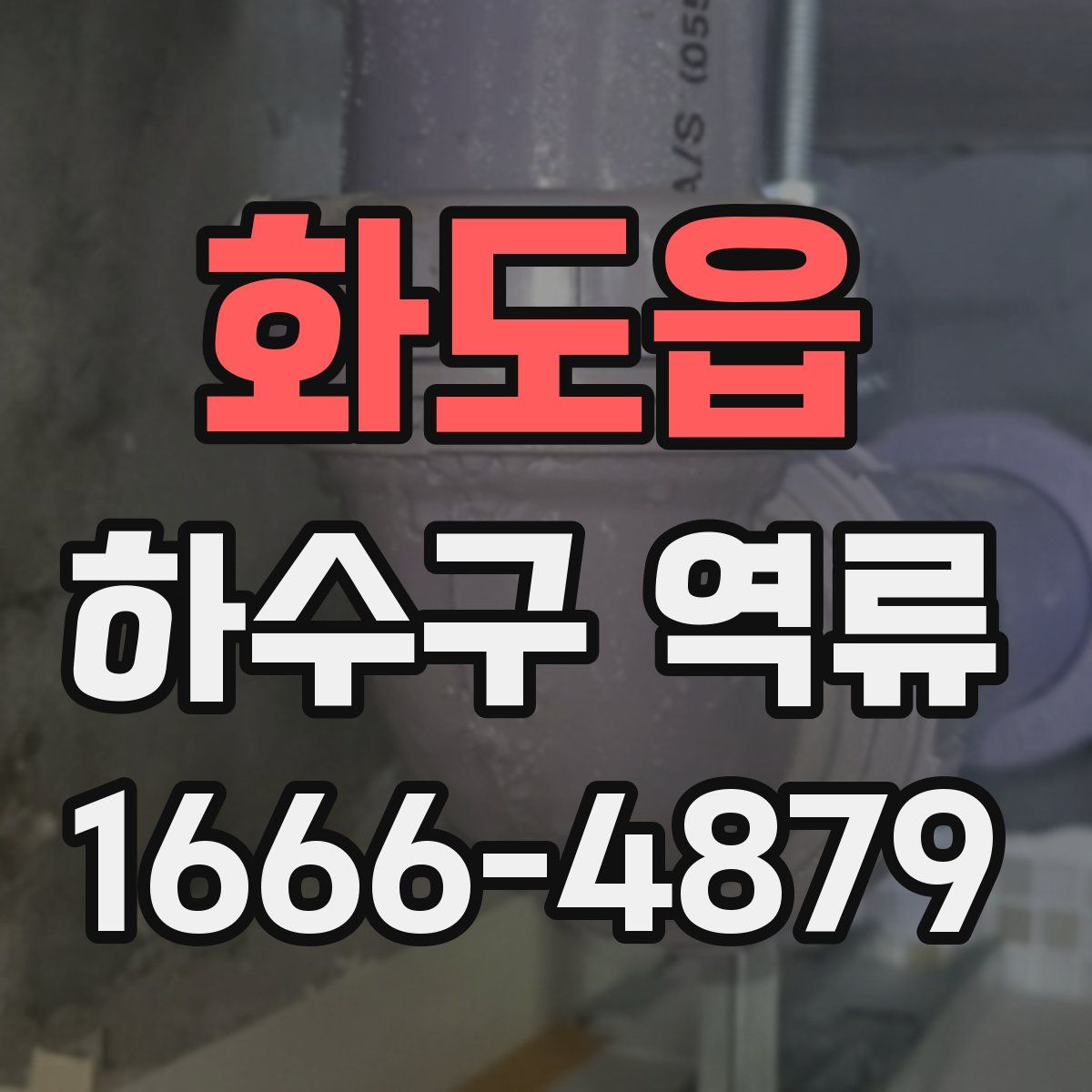 화도읍 하수구 역류