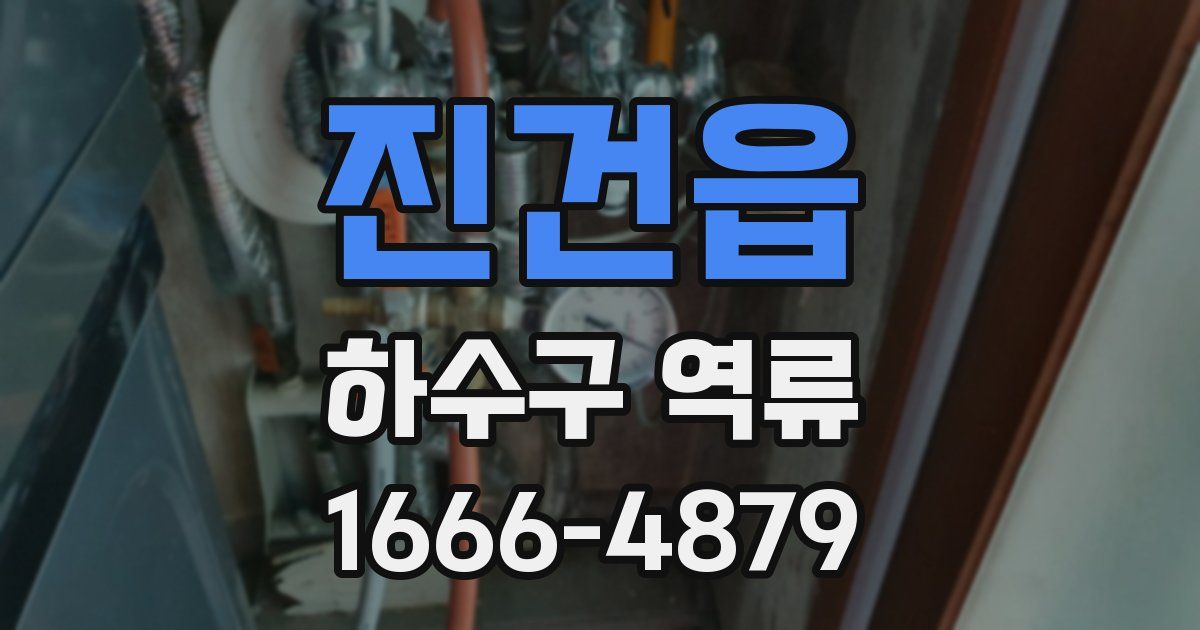 진건읍 하수구 역류