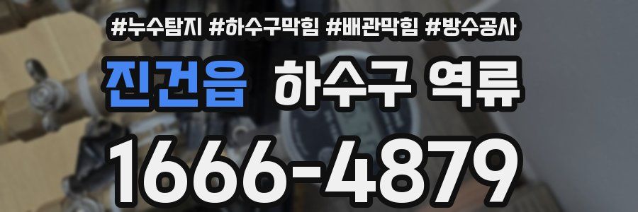 진건읍 하수구 역류
