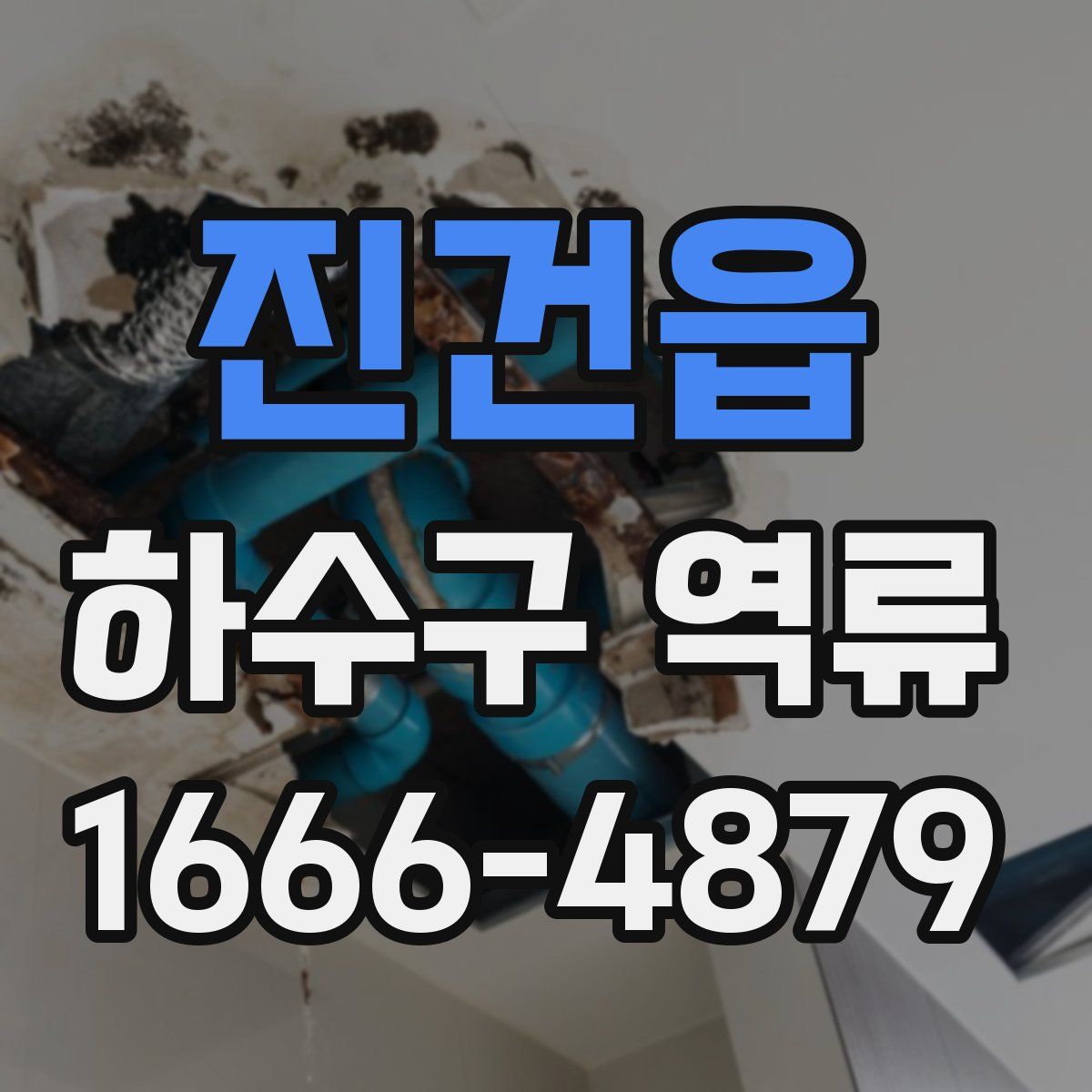 진건읍 하수구 역류