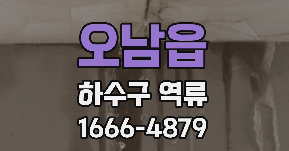오남읍 하수구 역류
