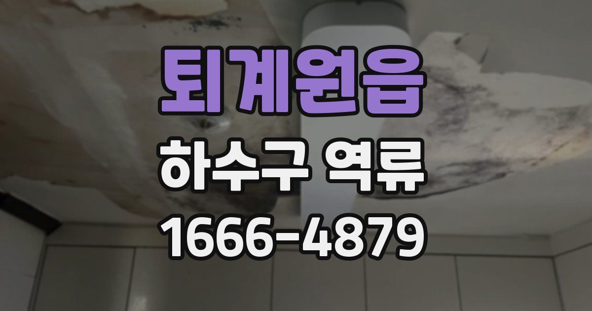 퇴계원읍 하수구 역류