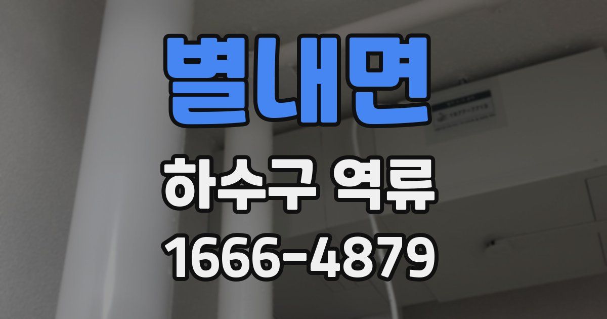 별내면 하수구 역류