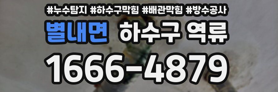 별내면 하수구 역류