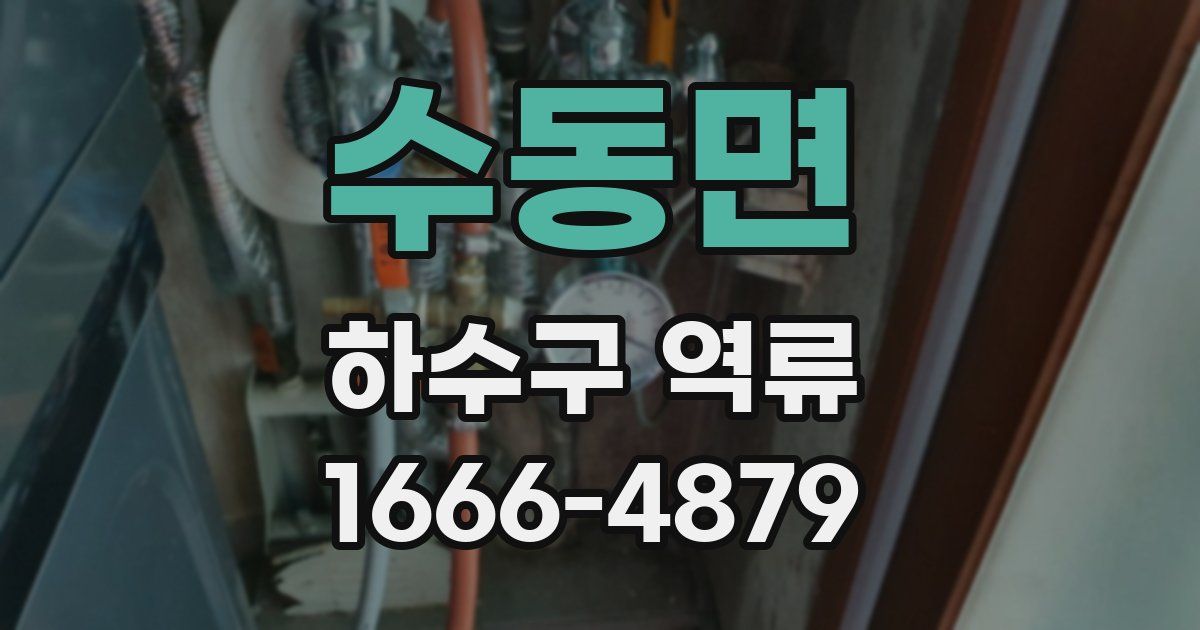 수동면 하수구 역류