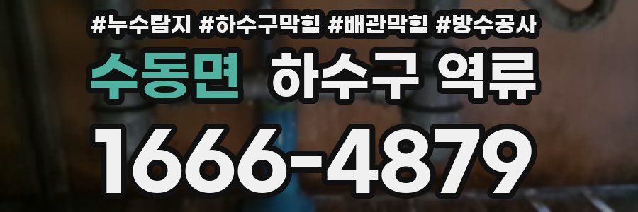 수동면 하수구 역류