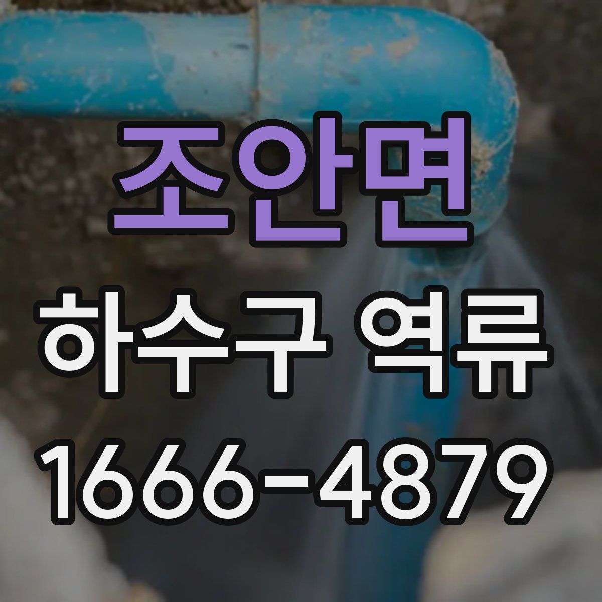 조안면 하수구 역류