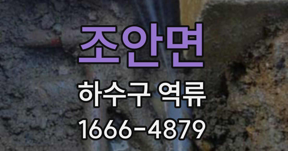 조안면 하수구 역류