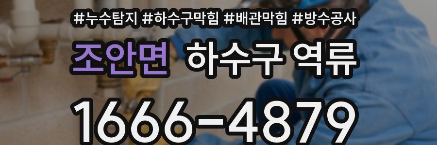 조안면 하수구 역류