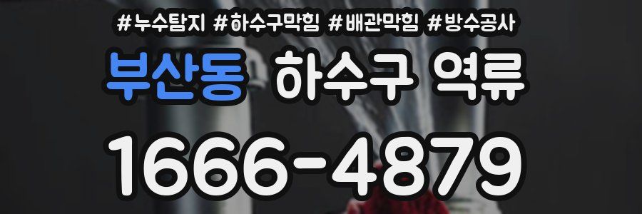 부산동 하수구 역류