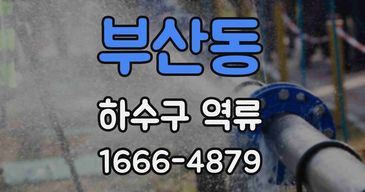 부산동 하수구 역류