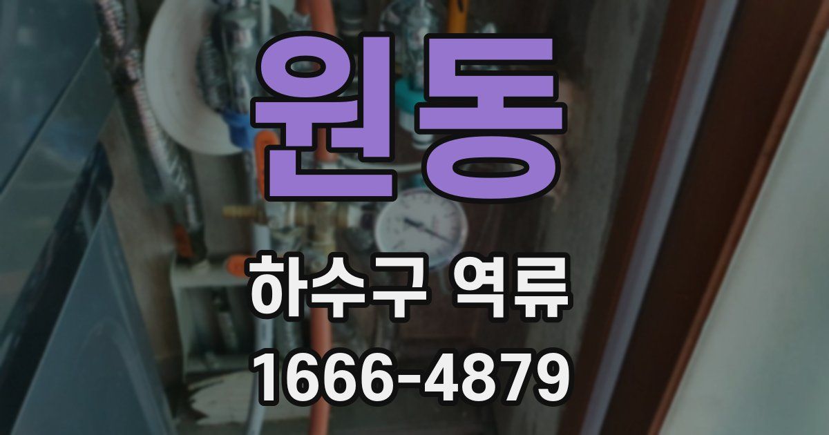 원동 하수구 역류