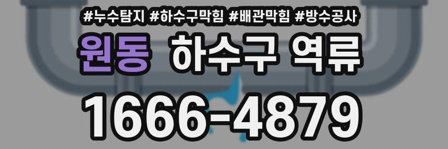 원동 하수구 역류