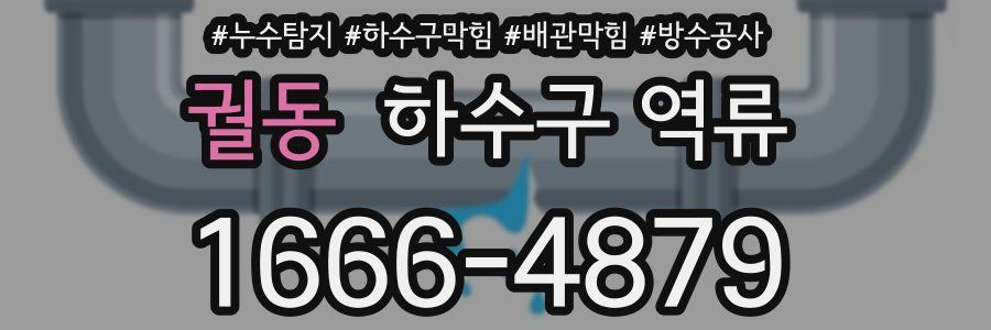 궐동 하수구 역류
