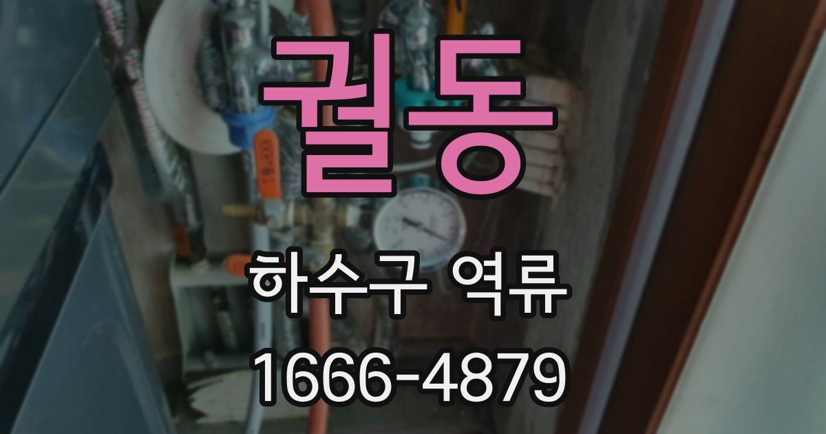 궐동 하수구 역류