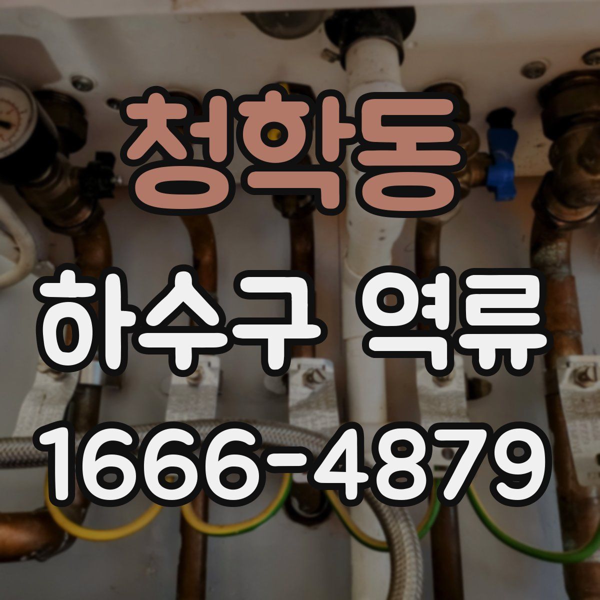 청학동 하수구 역류