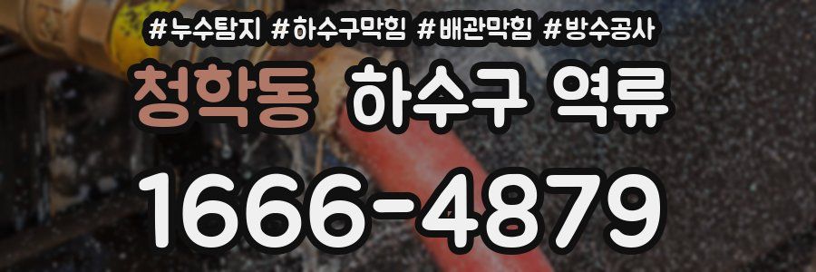 청학동 하수구 역류