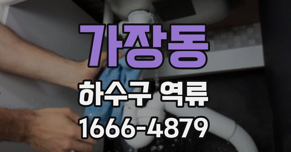 가장동 하수구 역류