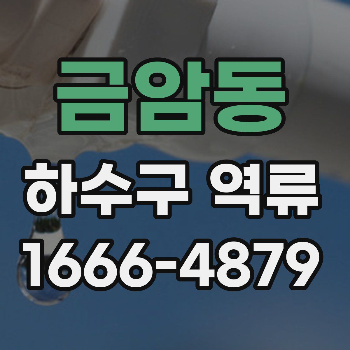 금암동 하수구 역류
