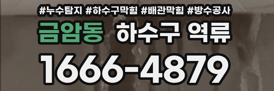 금암동 하수구 역류