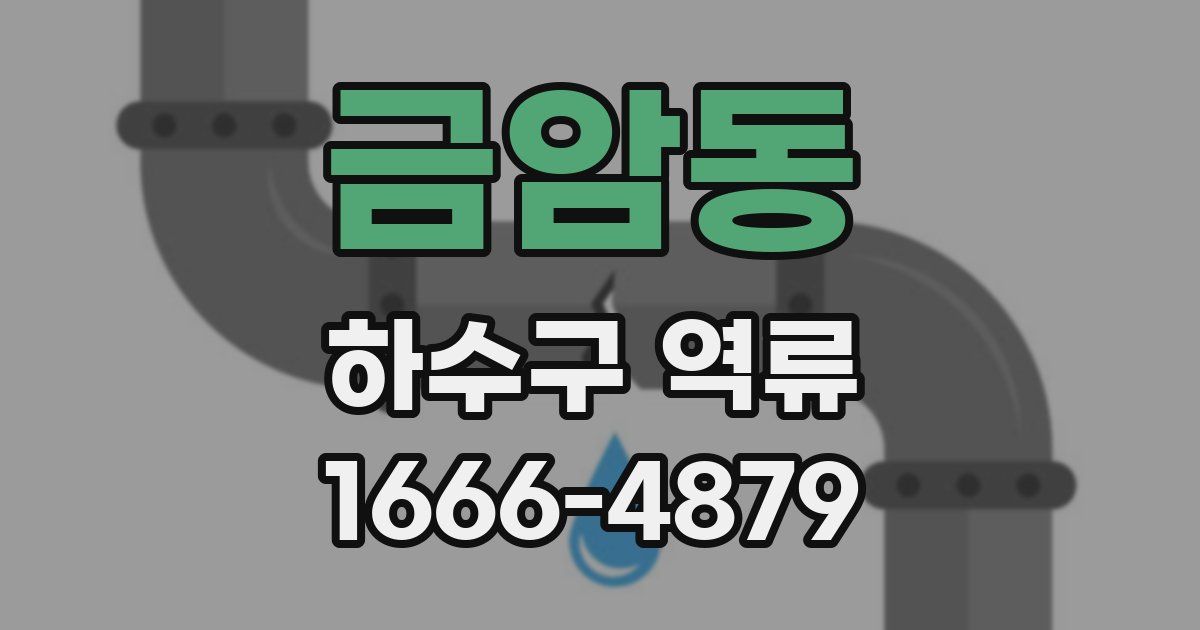 금암동 하수구 역류