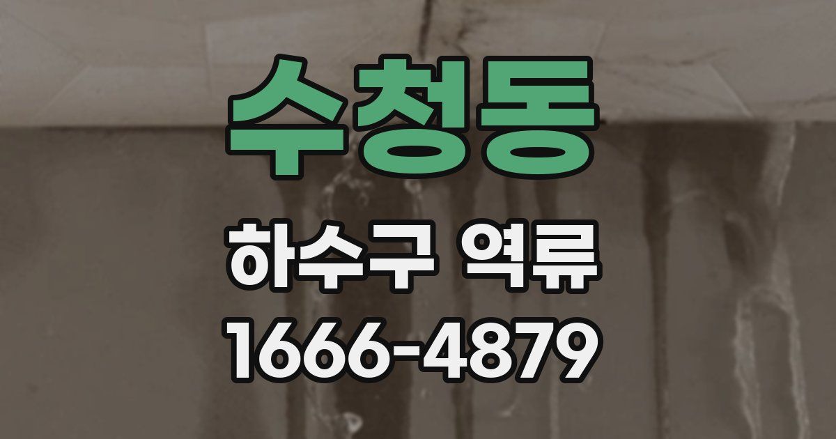수청동 하수구 역류