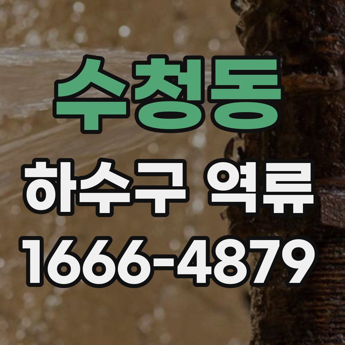 수청동 하수구 역류
