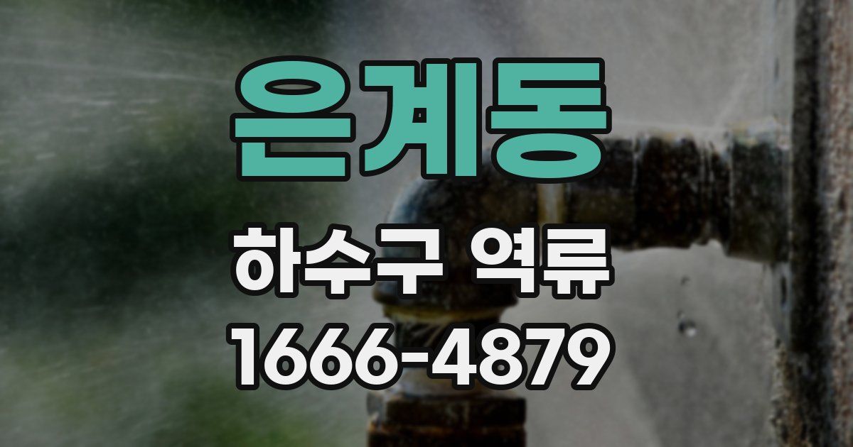 은계동 하수구 역류