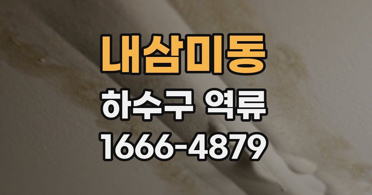 내삼미동 하수구 역류