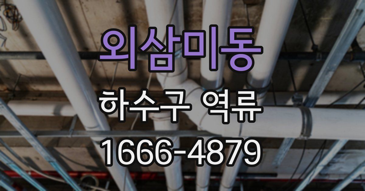 외삼미동 하수구 역류