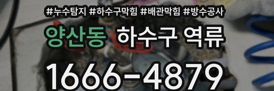 양산동 하수구 역류
