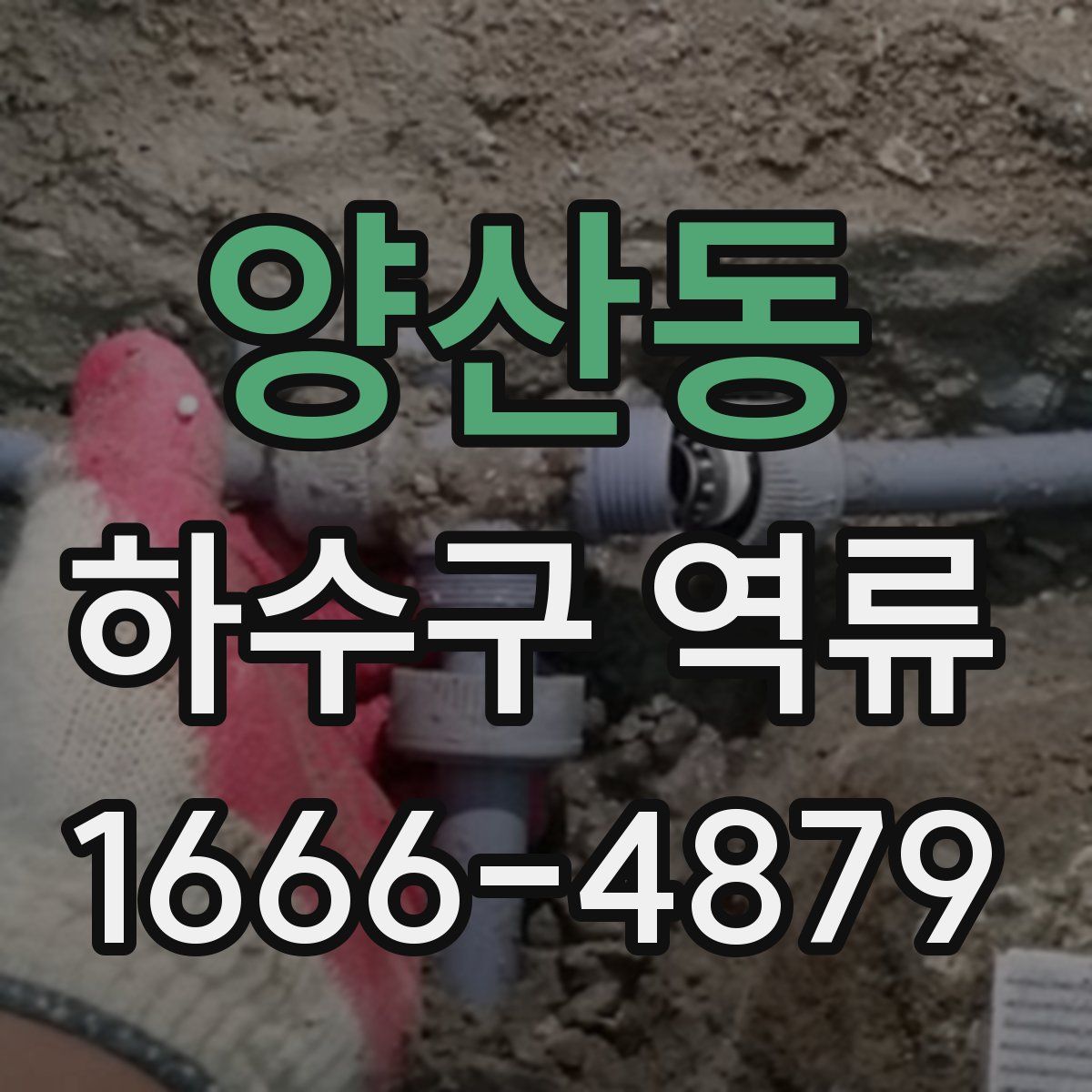 양산동 하수구 역류