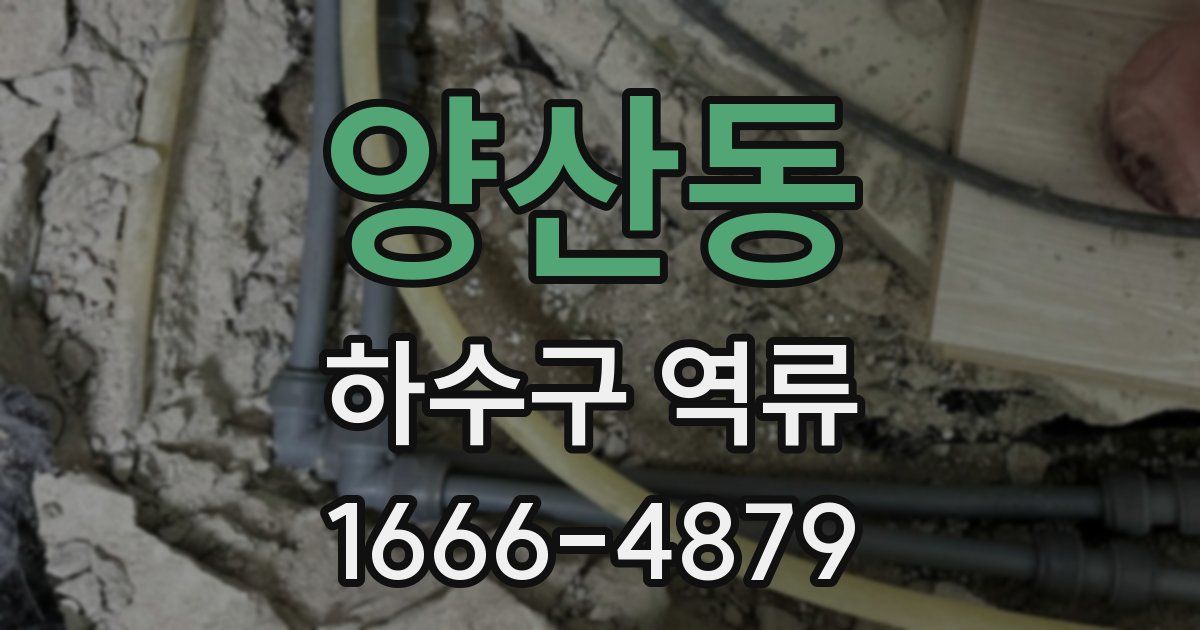 양산동 하수구 역류