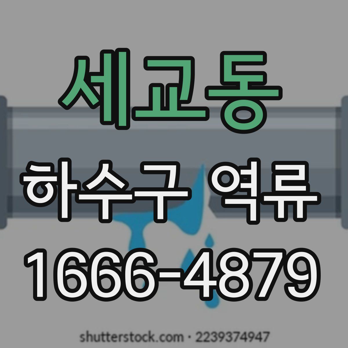 세교동 하수구 역류