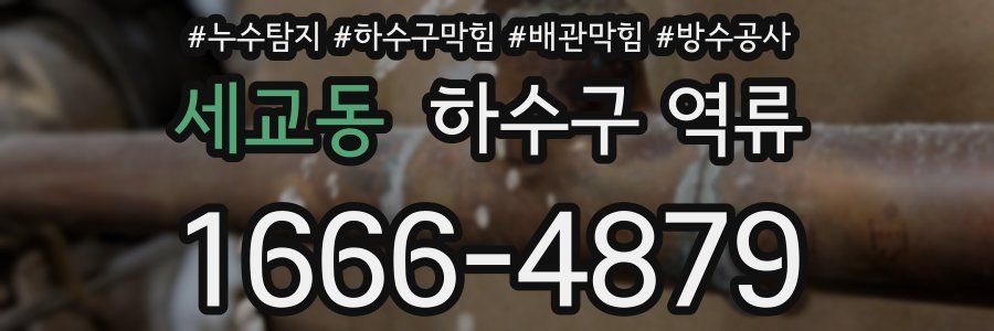 세교동 하수구 역류