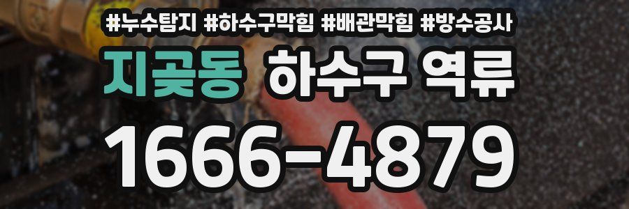 지곶동 하수구 역류