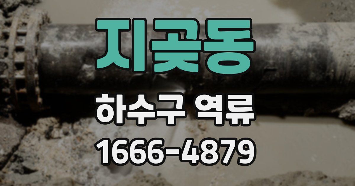지곶동 하수구 역류