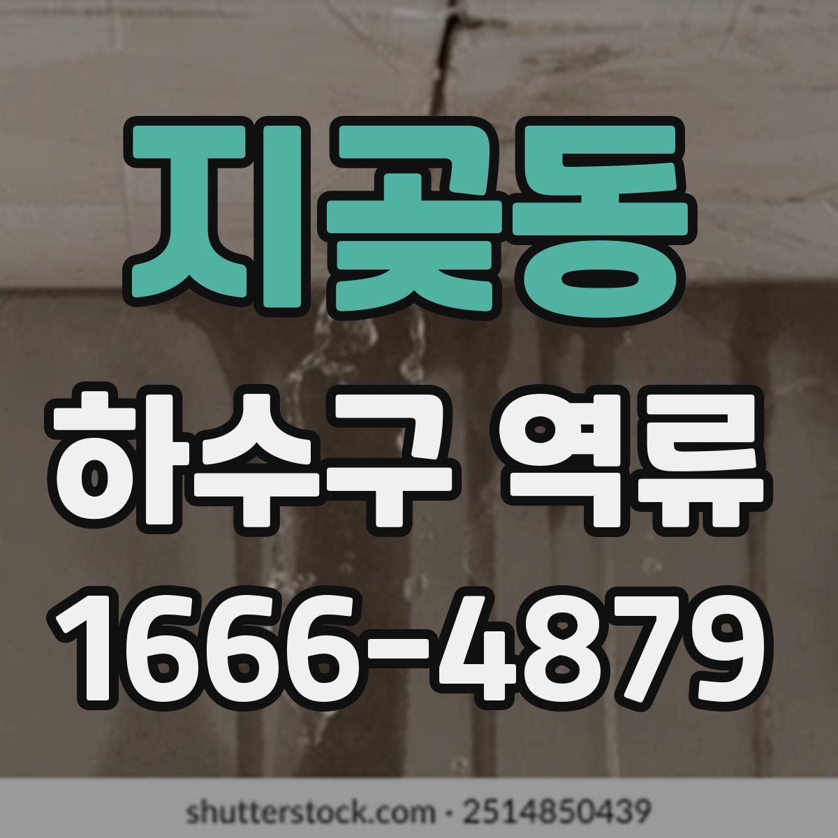 지곶동 하수구 역류