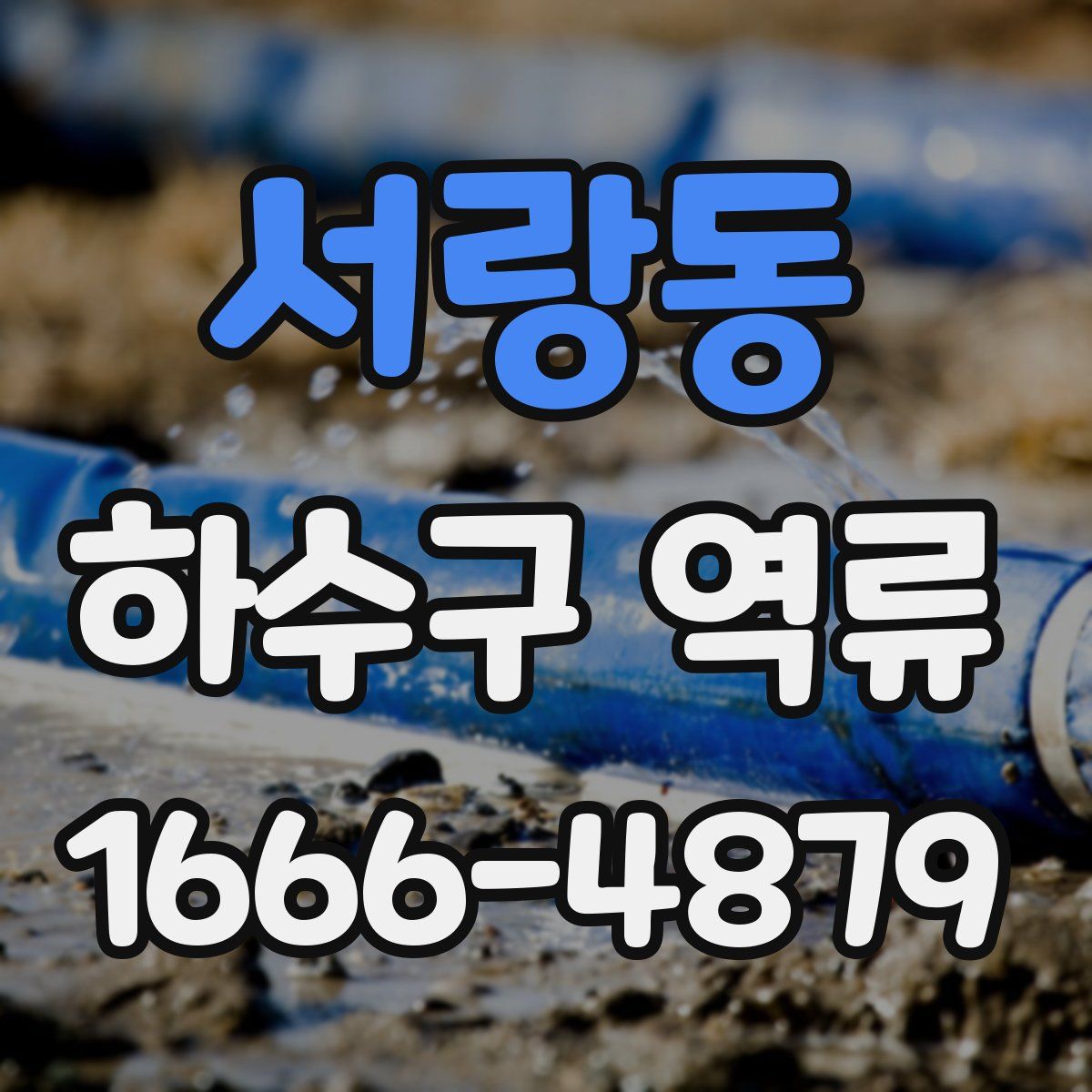 서랑동 하수구 역류