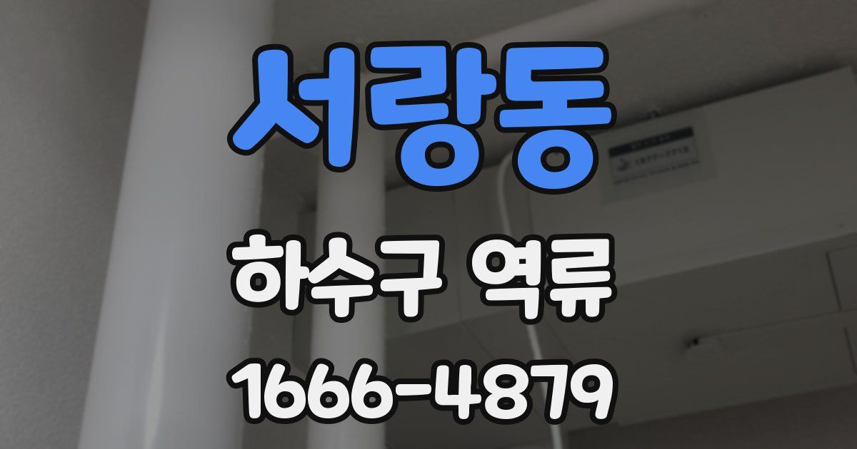 서랑동 하수구 역류