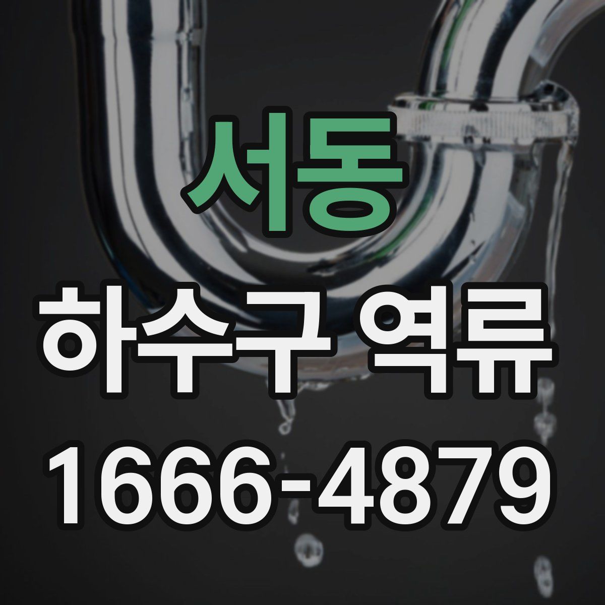 서동 하수구 역류