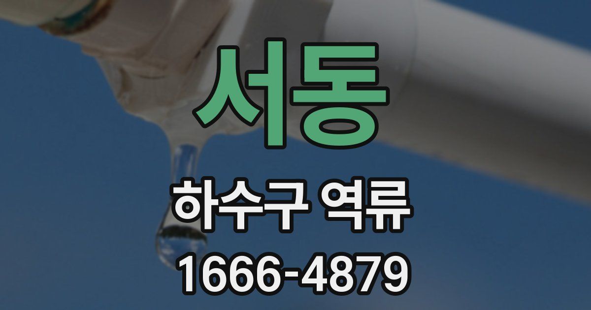 서동 하수구 역류