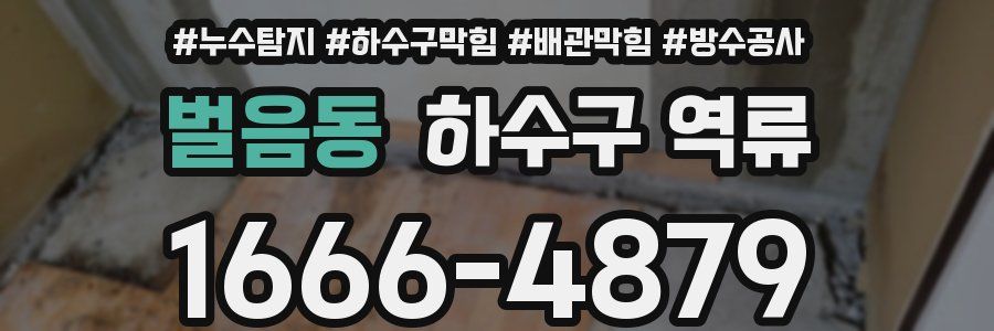 벌음동 하수구 역류