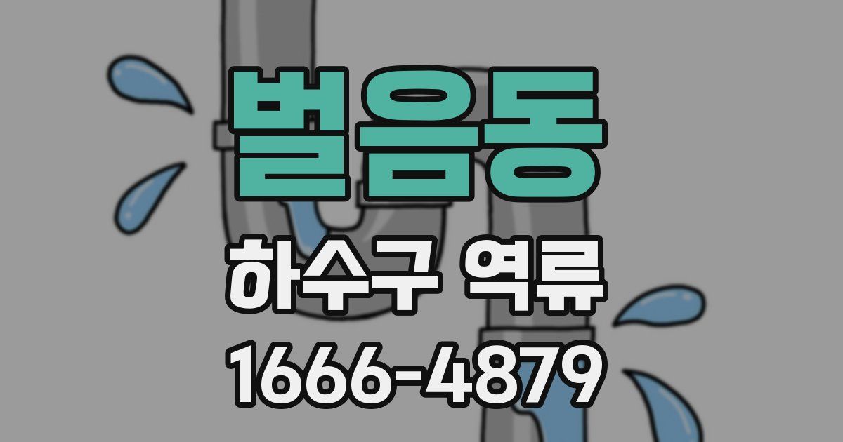 벌음동 하수구 역류