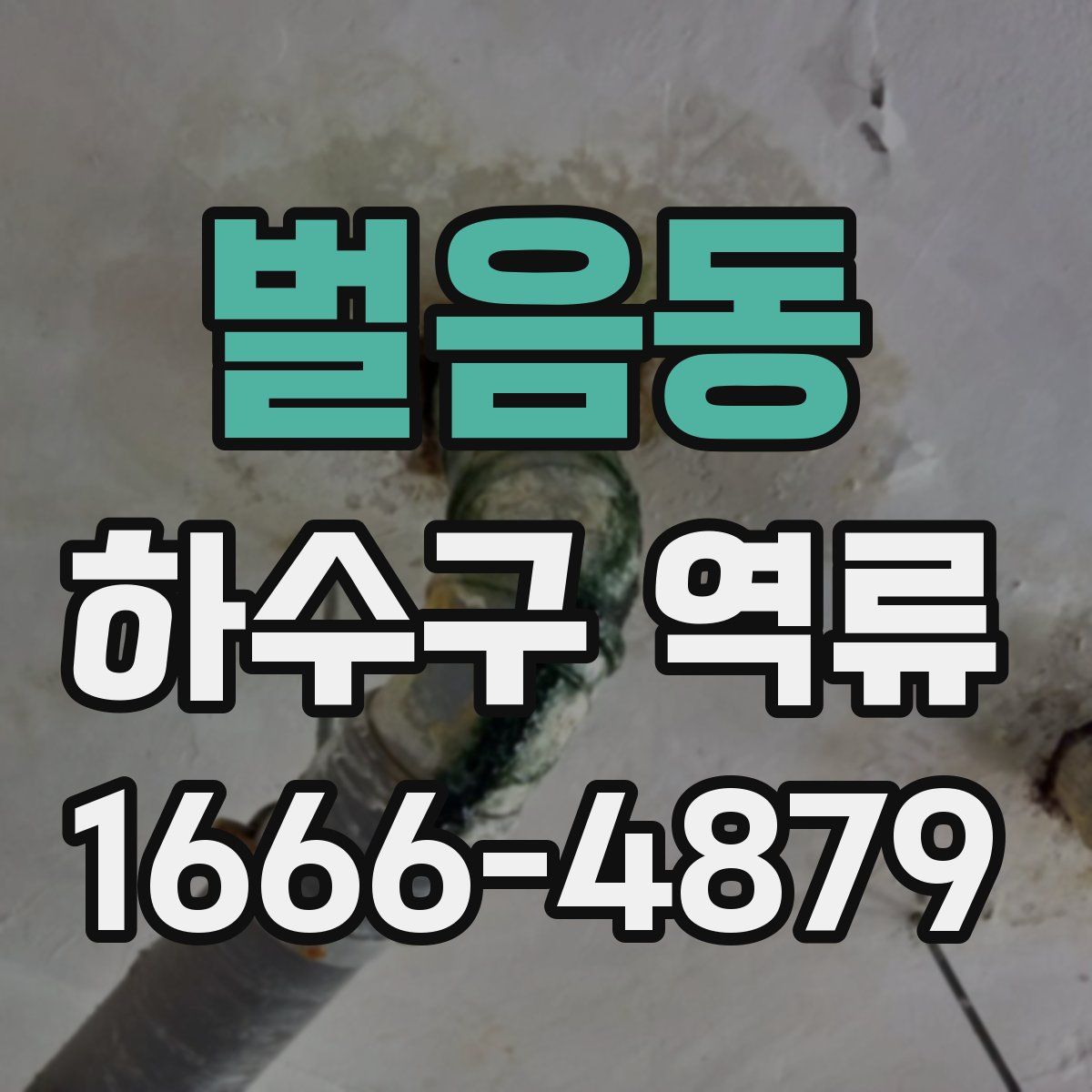 벌음동 하수구 역류