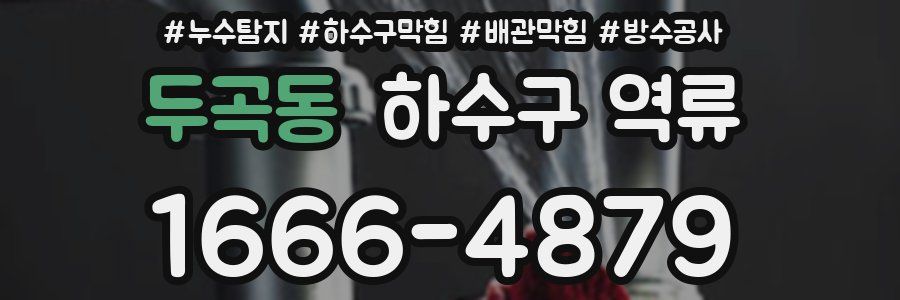 두곡동 하수구 역류