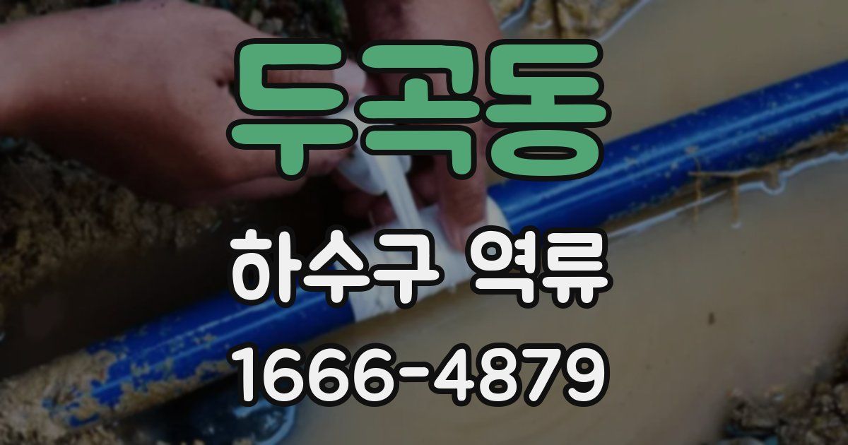 두곡동 하수구 역류