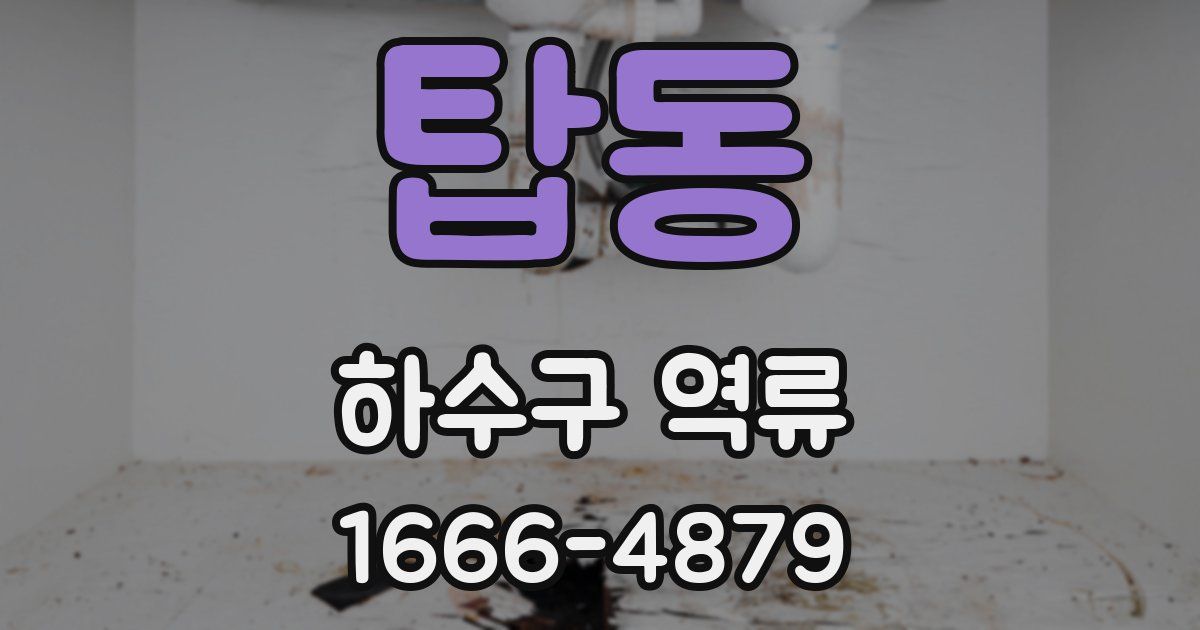 탑동 하수구 역류